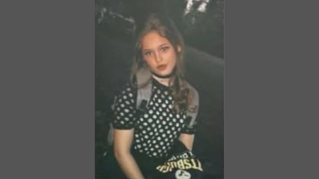 FBI joins search for Georgia 16-year-old girl who has been missing for over a week — St. Simons Island Community news